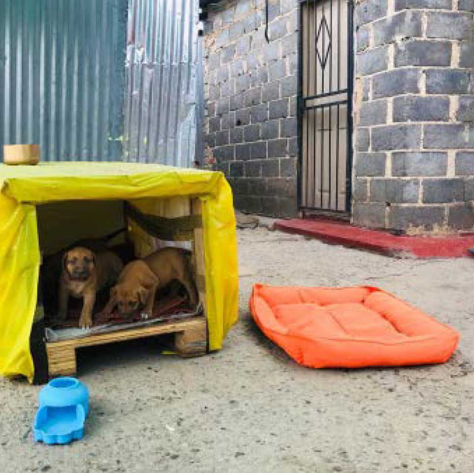 BETTER HOUSING